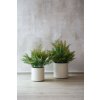 2374 15 umela kapradina v kvetinaci filix plast vyska 75 cm zelena filix