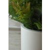 2374 9 umela kapradina v kvetinaci filix plast vyska 75 cm zelena filix