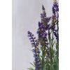 2398 6 umela levandule levandula vyska 48 cm plast zeleno fialova lavandula