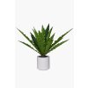 2431 7 umele kapradi asplena plast vyska 90 cm zelena asplena