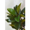 2443 6 umela rostlina v kvetinaci filastica plast vyska 115 cm zelena filastica