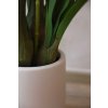 orchidee cymbidien arrangement im cremefarbenen dekotopf pink orchidea 95cm 05