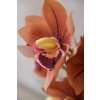 cymbidium orchidee im cremefarbenen dekotopf orange orchidea 95cm 04