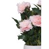 pfingstrose paeonien im cremefarbenen dekotopf rose peony 70cm 07