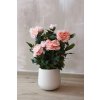 Umělá pivoňka v krémovém květináči PEONY, výška 70 cm, růžová
