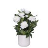 pfingstrose paeonien im cremefarbenen dekotopf creme peony 70cm 06
