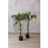 16290 7 umely stromek vistarie glycine vyska 125 cm bila