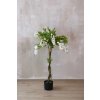 Umělý stromek vistárie GLYCINE, výška 125 cm, bílá