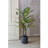 Umělá difenbachie v antracitovém květináči FRONDA, výška 110 cm, zelená