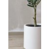 olivenbaum im cremefarbenen dekotopf kunstpflanze olivo 140cm 02