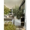 pflanzkuebel blumenkuebel block weiss 60x60x60 terrasse 1