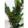 gluecksfeder zamioculcas kunstpflanze 100 zami 02