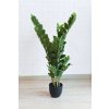 Umělý zamioculcas ZAMI, výška 100 cm, plast, zelená