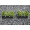 pflanzkuebel pflanztrog maxi fiberglas anthrazit 120 garten kiesbeet 05