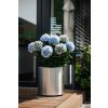 hortensie kunstpflanze blau gruen mit topf 60x78 08