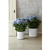 hortensie kunstpflanze blau gruen mit topf 60x78 06