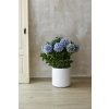 Umělá hortenzie HYDRANGEA v bílém květináči, výška 90 cm, modrá