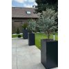 pflanzkuebel rechteckig block fiberglas anthrazit 60x30 garten 03