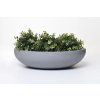 pflanzschale dekoschale fiberglas betonoptik grau plana 54x14 5