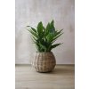 Přírodní koš na rostliny PALLA, ratan, průměr 55 cm, natur