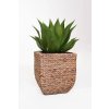 pflanzkuebel blumentopf wasserhyazinthe natur set 30 40 50 asia 5