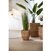 pflanzkuebel wasserhyazinthe natur geflochten asia 3er 02 4260179341632