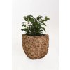 blumentopf pflanzkuebel wasserhyazinthe dunkel natur 25x25x40 wild 6