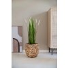Květináč WILD, vodní hyacint, výška 30 cm, natur