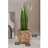 pflanzkuebel wasserhyazinthe natur wild 25x25x30 massbild shop 4260364560480