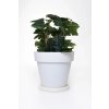 16797 3 kvetinac levanta plast vyska 54 cm bily