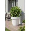 pflanzkuebel kunststoff weiss levanta 72x80 ki 01 4066147002884