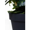 16833 1 kvetinac levanta plast vyska 128 cm antracit