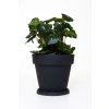 16833 4 kvetinac levanta plast vyska 128 cm antracit