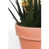 16839 1 kvetinac levanta plast vyska 54 cm natur