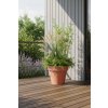 pflanzkuebel kunststoff terrakotta levanta 72x80 ki 01 4066147002228