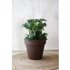 Květináč LEVANTA, plast, výška 54 cm, hnědá