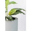 pflanzkuebel fiberglas beton design escada 35x35x60 02