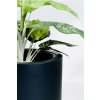 pflanzkuebel fiberglas anthrazit estra 35x35x40 02