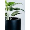 pflanzkuebel fiberglas anthrazit estra 35x35x90 02