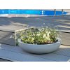 pflanzschale dekoschale fiberglas betonoptik grau plana 54x14 13.jpeg