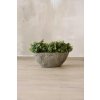 pflanzschale fiberglas erdgrau barco 45x19x17 01 4066147010919