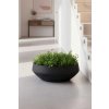 pflanzschale fiberglas schwarz skrelle 45x16 ki 03 4066147011749