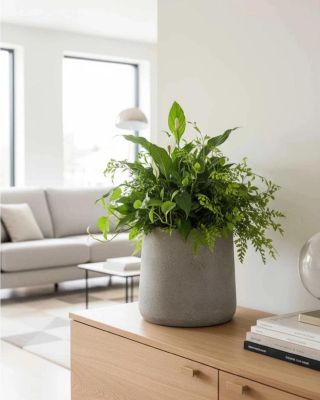 Novinka KVĚTINÁČE VEKRA - https://www.eshop-kvetinace.cz/vyhledavani/?string=Vekra. Květináče Vekra najdete v novinkách a...