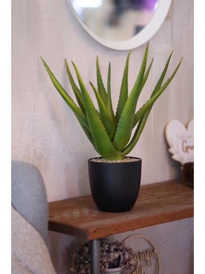 6406 umela rastlina agave aspara plast vyska 45 cm zelena aspara