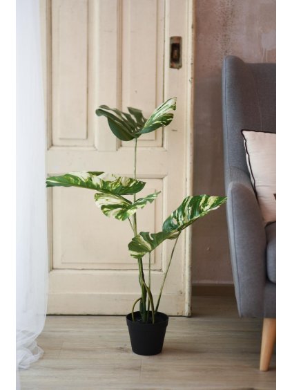 6409 umela rastlina monstera amica plast vyska 90 cm zelena amica
