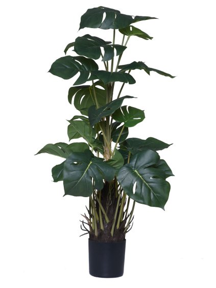 5422 umela rastlina v kvetinaci monstera plast vyska 85 cm zelena monstera