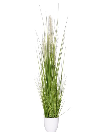 5374 umela trava pampas plast vyska 117 cm zelena pampas