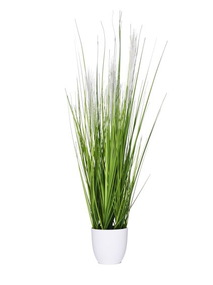 5371 umela trava pampas plast vyska 80 cm zelena pampas