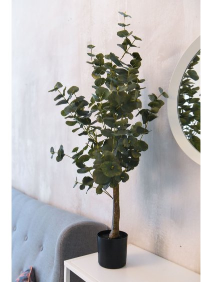 6427 umely eukalyptus eukaly plast vyska 95 cm zelena eukaly