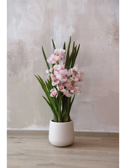 cymbidium orchidee im cremefarbenen dekotopf orchidea 95cm rose 01